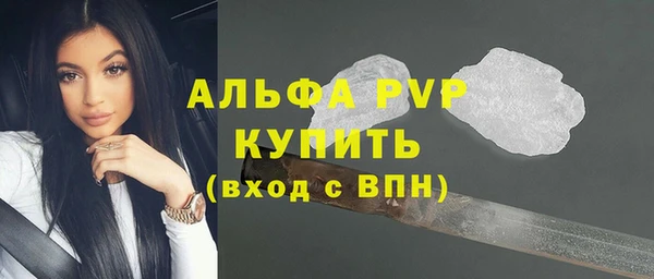 PSILOCYBIN Балахна