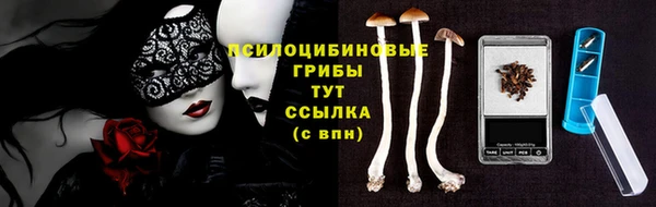 PSILOCYBIN Балахна