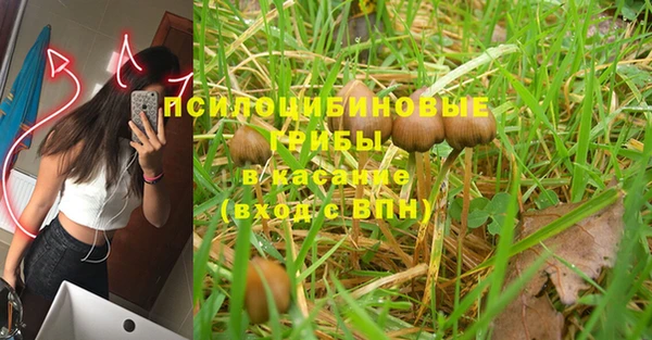 прущая мука Балабаново