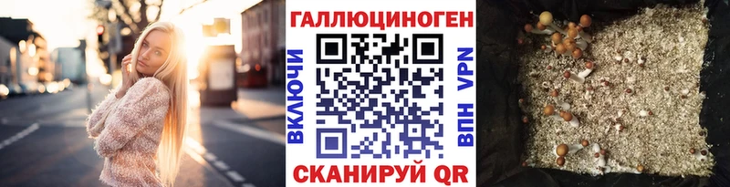 МЕГА зеркало  Барабинск  Псилоцибиновые грибы Psilocybe  цена наркотик 