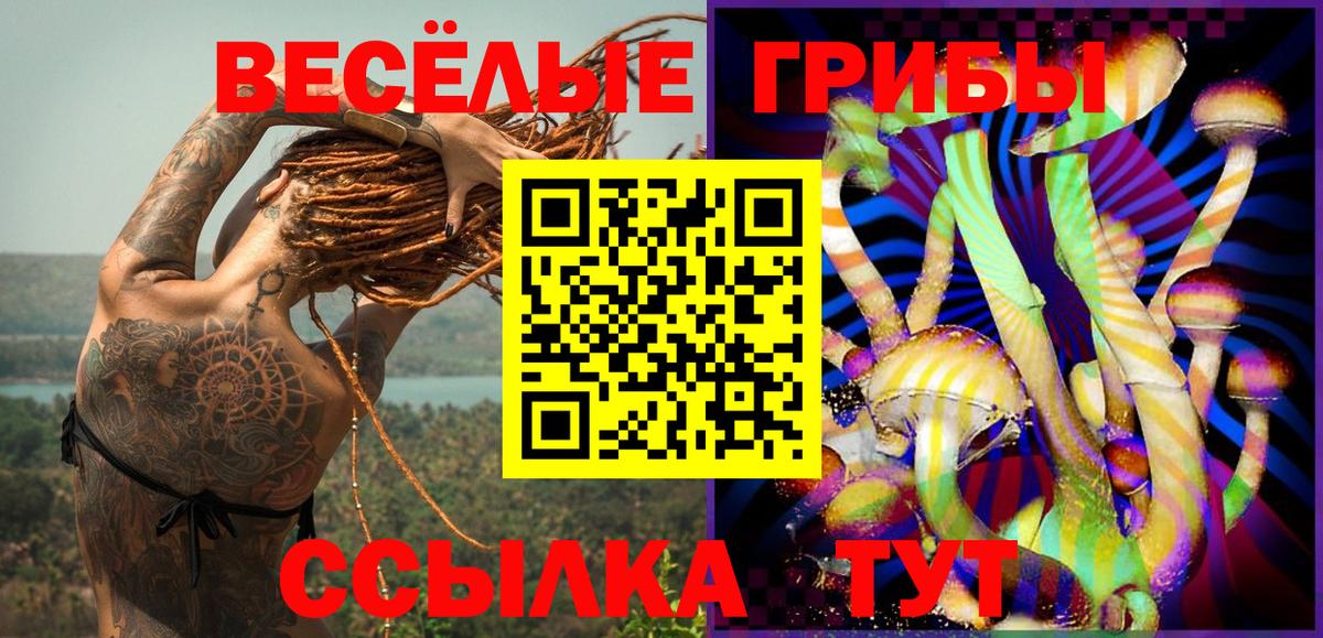 Галлюциногенные грибы мицелий Барабинск