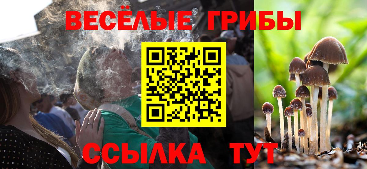 как найти   Вход с VPN  Барабинск  Галлюциногенные грибы ЛСД  Псилоцибиновые грибы Psilocybe 