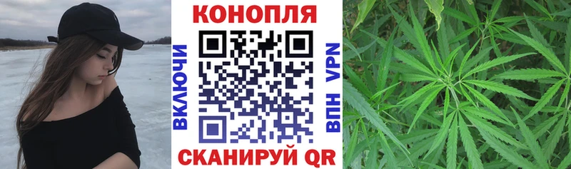 дарнет шоп  Барабинск  Бошки марихуана тримм 